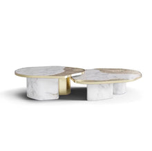 Load image into Gallery viewer, The Aurelia Sculptural Coffee Table Set.
